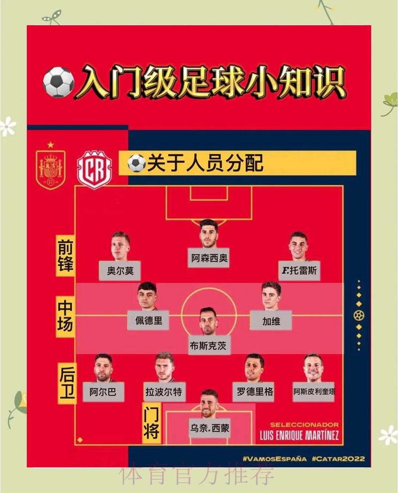 世界杯比分稳定入口地址解析与指南